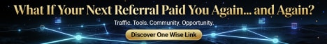 One Wise Link
